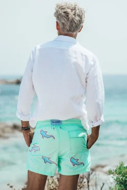 All Over Shark - Greenwater